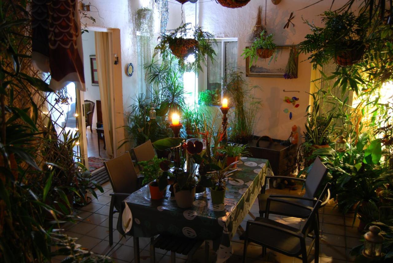 Vila Casa Tesalia Güimar Exteriér fotografie